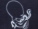 SIGUR ROS: AGAETIS BYRJUN 2x VINYL LP FAT CAT / FATLP11 / SEALED