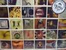 PEARL JAM - NO CODE GATEFOLD WHITE VINYL LP NEW & SEALED