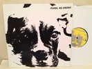 Cuby And Blizzards / Van Morrison Please No Smoke Euro Import Vinyl NM-