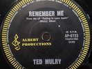 TED MULRY - REMEMBER ME/MEMORIES - 7