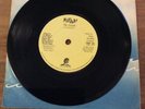 THE METEORS - THE CRAZED/ attack of the zorchmen LOST 101 1981 Nigel Lewis