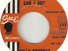 Northern Soul - Billy Prophet - What Can I Do - Sue - 45rpm 7inch single