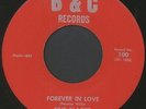 FIVE BLACKS: Forever In Love / Come On 45 Soul