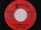 LENNY MILES: In Between Tears / I Know Love 45 rare Soul
