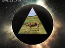 GOVT MULE Dark Side Of The Mule 2015 UK vinyl 2LP + MP3 SEALED/NEW Pink Floyd