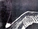 MY DYING BRIDE - TURN LOOSE THE SWANS (180GM) NEW VINYL