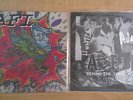 AFI SIGNED Behind the times and Fly in the Ointment 7