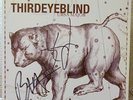 THIRD EYE BLIND Ursa Major NM LP MARBLE COLOR Vinyl TEB01LP AUTOGRAPH S-1488