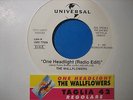 THE WALLFLOWERS 