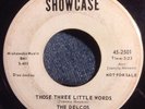 DELCOS 45 Those Three Little Words SHOWCASE 1963 Northern Soul DOO WOP PROMO VG+