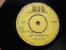 GOT MY BUGALOO  : JACKIE MITTOO  B/W WHAT TO DO  : THE ETHIOPIANS