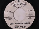 SONNY WILSON: I Ain't Giving Up Nothin' / Troubled Times 45 (dj, faint lbl stai