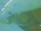 Da Captain Trips - In The Beginning Colored Vinyl Edition EU LP