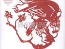 Gravenhurst - Black Holes In The Sand Vinyl UK LP
