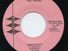 HEAR - Rare Power Pop 45 - The Trend - She's Hi-Fi - KSS # 8104