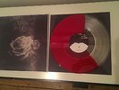 MORE THAN LIFE - WHATS LEFT OF ME LP 1st press Have Heart Title Fight Basement