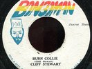 Cliff Stewart - Burn Collie JAorig Bongo Man 7