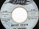 THE WHISPERS 45 Never Again / Slow Jerk DORE 1965 Sweet Soul PROMO #H888