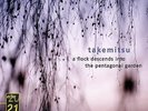 TORU TAKEMITSU A Flock Descends Into the Pentagonal Garden SEIJI OZAWA RAR