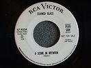 Stained Glass A Scene In Between RCA 9354 Promo VG+ Garage Psych 1960's