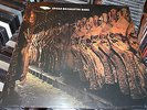 EDGAR BROUGHTON BAND PROG PSYCH TIMELESS AKARMA  180g LIMITED 300 EX LP