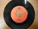 45 RPM Vinyl  Marvin Rainwater Boo Hoo, I Can't Forget Warwick Records 45SM7