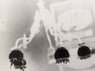 Sun Kil Moon - Tonight The Sky EP White Vinyl Mark Kozelek Third and Seneca