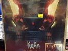 RSD KORN The Paradigm Shift LIMITED PICTURE DISC VINYL LP RECORD Brand New