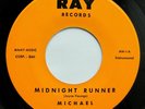 INSTRUMENTAL ROCK / SURF 45 Michael & the Majestics 