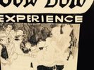 Gow Dow Experience  LP Original copy sealed