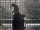 NEIL YOUNG - After The Gold Rush US Gatefold Reprise Warner MSK 2283 heavy