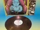 LAGWAGON - DUH VINYL LP/524 millencolin,pennywise,face to face,propagandhi