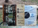 KIRSTEN FLAGSTAD – SIBELIUS SONG RECITAL-OIVIN FJELSTAD. Decca SXL 20130 WB