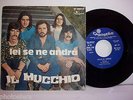 IL MUCCHIO  - IL GIULLARE / LEI SE NE ANDRA' - VINILE    45 RPM