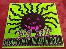Big Boys - Lullabies Help The Brain Grow LP MOM-BB-002 1983 Punk