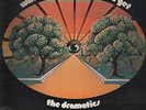 The Dramatics Whatcha See Is Whatcha Get LP promo only MONO vinyl Volt original