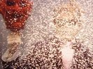 SEGALL, Ty - Ty Segall - LP