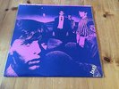 WHAT OF THE NIGHT / 1979 SELF TITLED LP RARE NORTHERN IRISH PUNK GARAGE