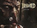 Benighted - Asylum Cave LP New Dying Fetus Job For A Cowboy Cephalic Carnage