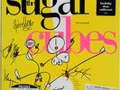 The SUGARCUBES Bjork 