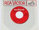 DON & THE GOODTIMES Sweets For My Sweet/ Hey There Mary Northwest Garage Rock 45