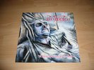 1x Protector (Vinyl)