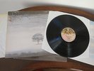Genesis - Wind and Wuthering LP - ORIGINAL 1st UK Press Near Mint Vinyl; WW Ship