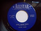 DANIEL JAMES  ROCK MOON ROCK / A PERFECT LOVE  45 ALLSTAR ROCKABILLY