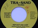 Rare Sweet Soul / Modern Soul 45 - Nightchill - Hop Skip And Jump - TRA-SAND mp3