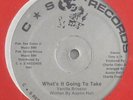 Vanilla Brinson - What's It Going To Take 12