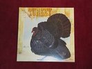 Wild Turkey - Turkey Vinyl ORIGINAL Selten RARE Ex- Jethro Tull (1972)