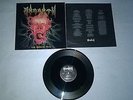MORGOTH - The Eternal Fall MLP 1.PRESS Cynic Death The Grotesque At The Gates