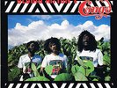 epic LP : CEDRIC MYTON & CONGOS-image of africa   (hear)