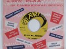 Doo Wop 45 CHANNELS My Love Will Never Die FURY HEAR NM/VG++